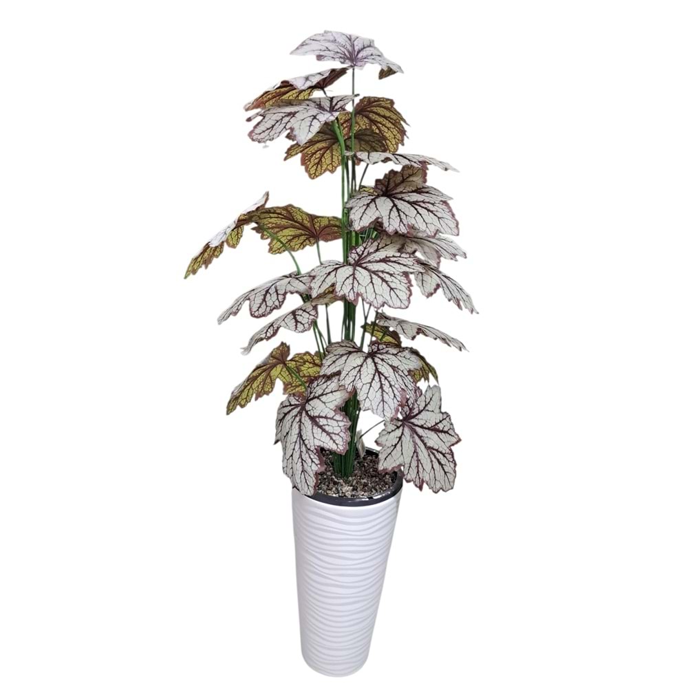 CALADİUM AĞAÇ 130 CM