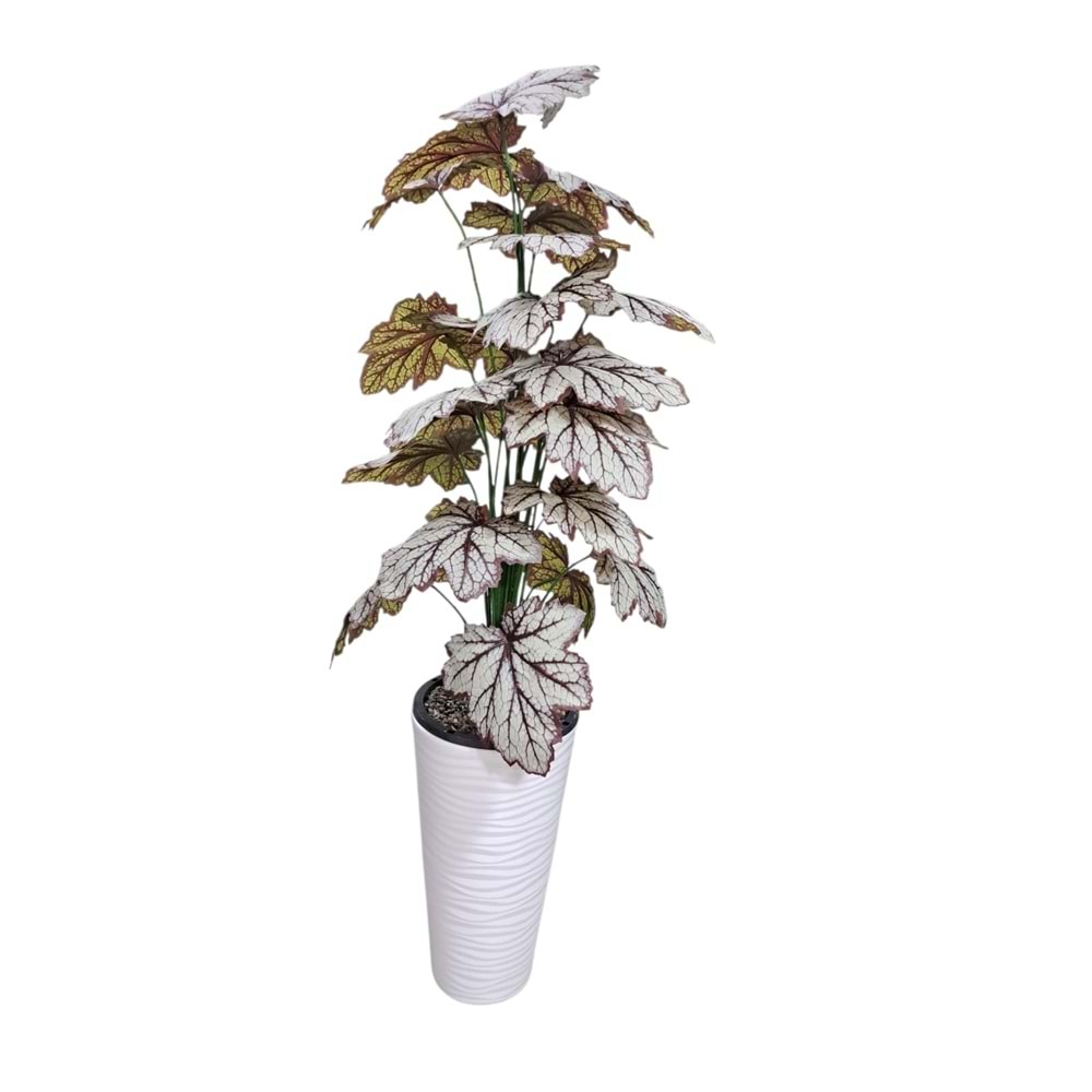 CALADİUM AĞAÇ 130 CM